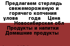 Предлагаем стерлядь свежемороженую и горячего копчения, улова 2017 года. › Цена ­ 850 - Новосибирская обл. Продукты и напитки » Домашние продукты   